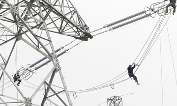 Công đoàn Tổng công ty Điện lực miền Nam: Ổn định việc làm cho người lao động