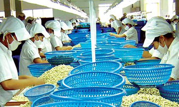 Ngành điều xuất khẩu: Cần đầu tư chế biến sâu