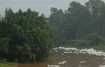 Bảo vệ môi trường sông Đồng Nai