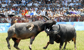 Di sản văn hoá phi vật thể quốc gia