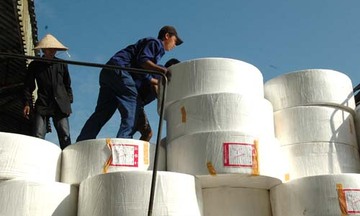 Ngành giấy: Tìm thế cân bằng