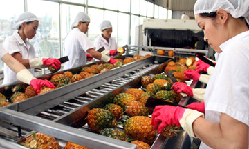 Xuất khẩu rau quả tăng hơn 28%
