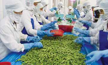 Xuất khẩu rau quả hướng tới 1 tỷ USD