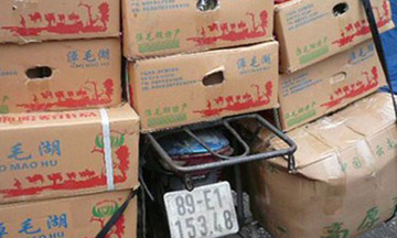 “Ma trận” hồng ngâm