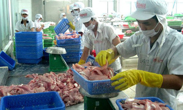 Cơ hội xuất khẩu hàng hóa vào Dubai