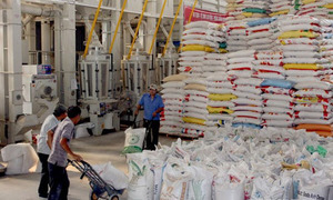 Philippines có thể mua 200.000 tấn gạo của Việt Nam