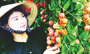 Xuất khẩu rau quả: Tăng kim ngạch ở thị trường lớn