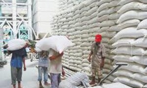 10 tháng, xuất khẩu nông, lâm, thủy sản đạt 22,5 tỷ USD