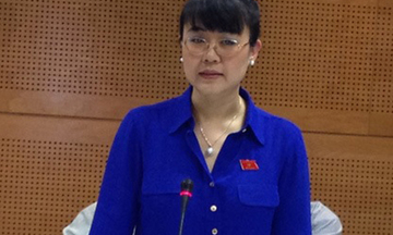 Doanh nhân làm nghị sỹ: Làm sao tròn cả hai vai?