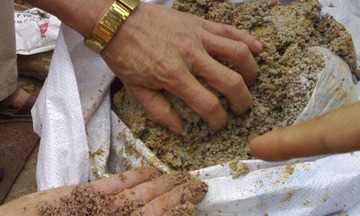 Kiểm tra các cơ sở sản xuất phân bón giả