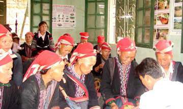 Nâng cao chất lượng đào tạo nghề cho lao động nông thôn