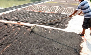 Xuất khẩu tiêu vượt ngưỡng 1 tỷ USD