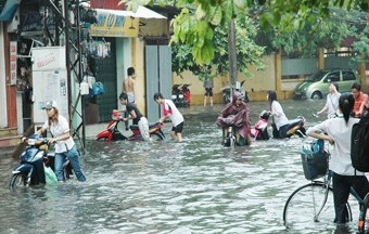 TP. Hồ Chí Minh: Tích cực ứng phó biến đổi khí hậu