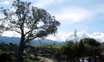 Nghĩa địa treo ở Kon Tum