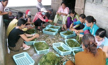 Vấn đề được nhiều đại biểu Quốc hội lo lắng