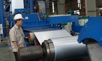 Tập đoàn Hoa Sen hoàn thành 122% kế hoạch năm 2013