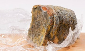 Bao bì thực phẩm chống nấm mốc