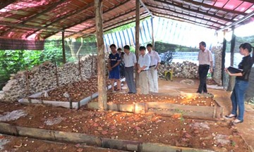 Tiếp tục hợp tác nghiên cứu, phát triển khoa học công nghệ