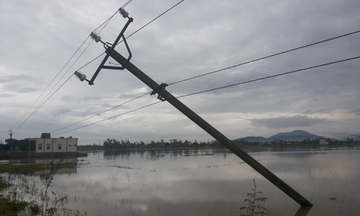 EVNCPC chủ động cắt điện vùng lũ