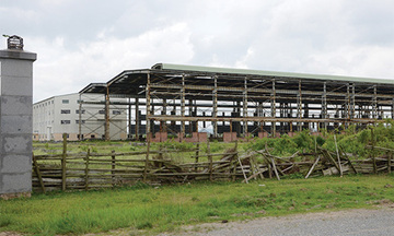 Trả KCN Lai Vu về cho Hải Dương