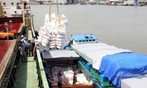 Việt Nam trúng thầu xuất 500.000 tấn gạo sang Philippines