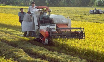 Doanh nghiệp FDI tăng đầu tư cho vùng nguyên liệu