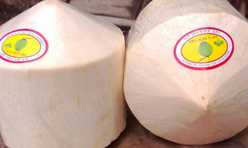 Đam mê xuất khẩu dừa xiêm