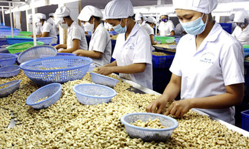 Giá điều thô tại Ấn Độ tăng mạnh do nhu cầu cao