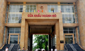 Công bố quy hoạch chung