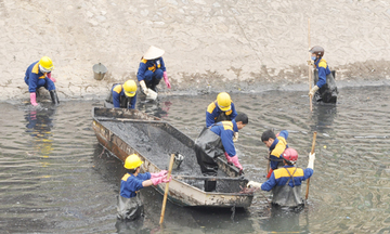 Thuế bảo vệ môi trường giải pháp cần quan tâm