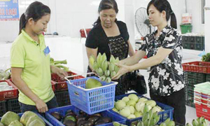 Xây dựng mô hình chợ an toàn thực phẩm trên địa bàn tỉnh Ninh Bình: Kết quả bước đầu