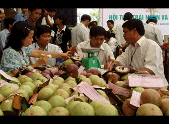 Nhiều thuận lợi cho xuất khẩu rau quả trong năm 2012