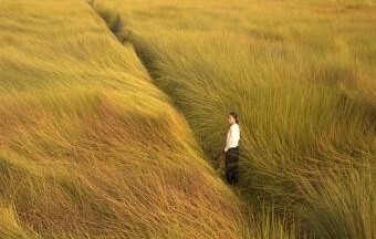 Liên hoan phim Việt Nam lần thứ 17: Đề cao tính hội nhập