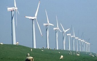 Có hợp đồng mua bán điện mới được khởi công điện gió