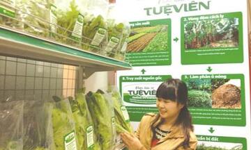 Công ty TNHH Thương mại và Đầu tư Việt Liên: Tiên phong trong nông nghiệp hữu cơ