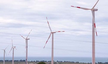 Phát triển điện gió... chờ cơ chế đồng bộ
