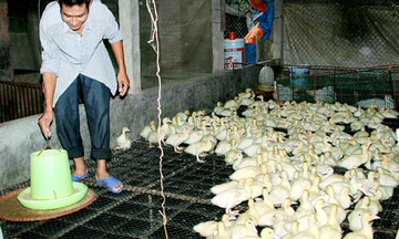 Doanh nhân gù khởi nghiệp với 2 triệu đồng