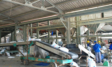 Khoa học công nghệ giúp nâng cao sức cạnh tranh