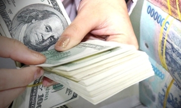 Chính sách tiền tệ 2014: 'Phải sống cái đã!'