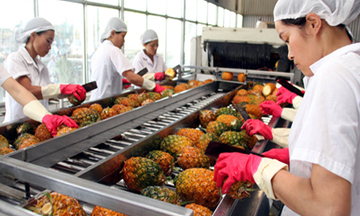 Xuất khẩu rau quả đạt mốc 1 tỷ USD