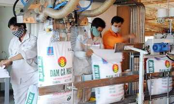 Tăng cường đầu tư sản xuất phân bón