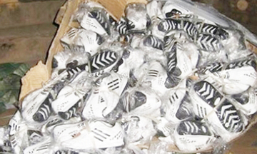 Phát hiện cơ sở sản xuất giày “nhái” hàng hiệu