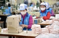 Chất lượng là “Giấy thông hành” đưa khẩu trang vào thị trường EU, Mỹ