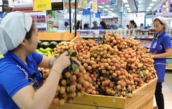 Giao thương trực tuyến doanh nghiệp Việt Nam - Nhật Bản: Thêm cơ hội cho hàng Việt xuất khẩu