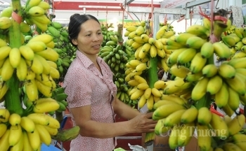 Bộ Công Thương: 