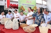 Chương Mỹ: Tổ chức thiết kế mẫu sản phẩm thủ công mỹ nghệ