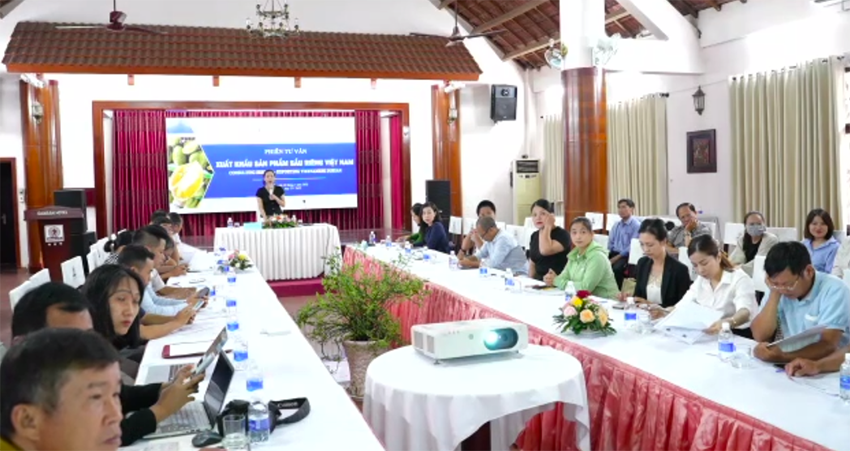 Nhiều dư địa cho xuất khẩu trái sầu riêng Việt Nam