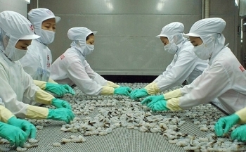 Doanh nghiệp Quảng Châu cần mua hàng trăm tấn thủy sản Việt Nam