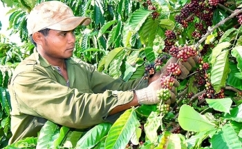Cơ hội hợp tác cho doanh nghiệp Ấn Độ - Tiểu vùng sông Mekong