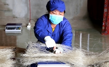 Bắc Kạn: Trợ sức cho phát triển sản phẩm công nghiệp nông thôn tiêu biểu